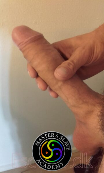 Gay Escort København