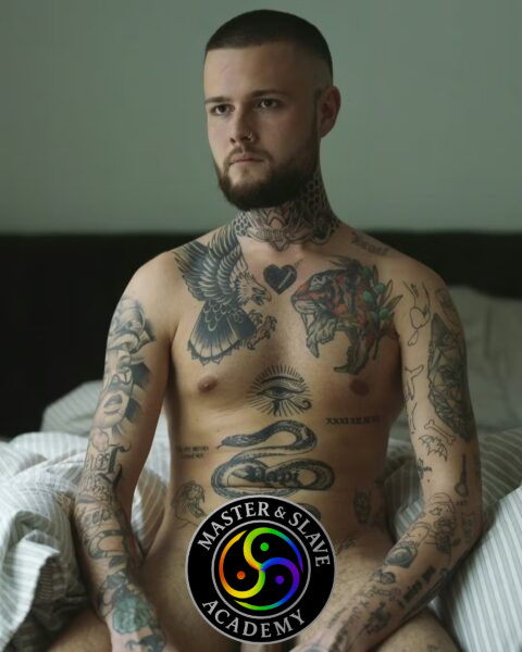 Alfahan, Only Fans Content Creators eksklusiv chat og camshow
