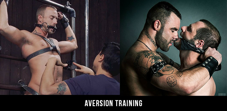 Psykologiske profiler i Master/slave-relationer